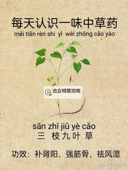 九草在线:开启绿色养生新体验图1