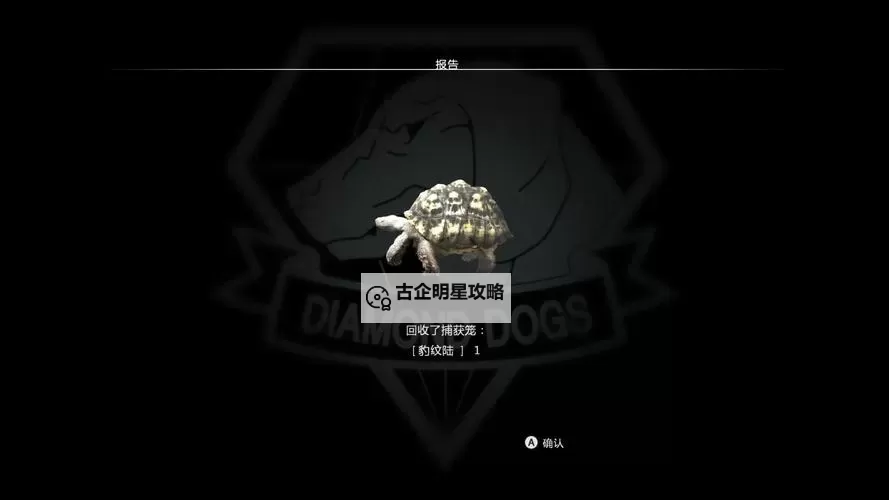 《合金装备5幻痛》豹纹陆龟抓取方法介绍 豹纹陆龟怎么抓图1