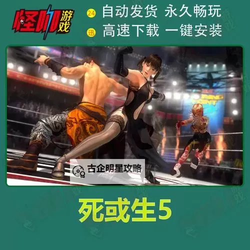 死或生5最后一战 连招心得解析 怎么连招图1