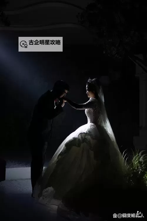 高清新娘伴郎视频免费在线观看推荐图1