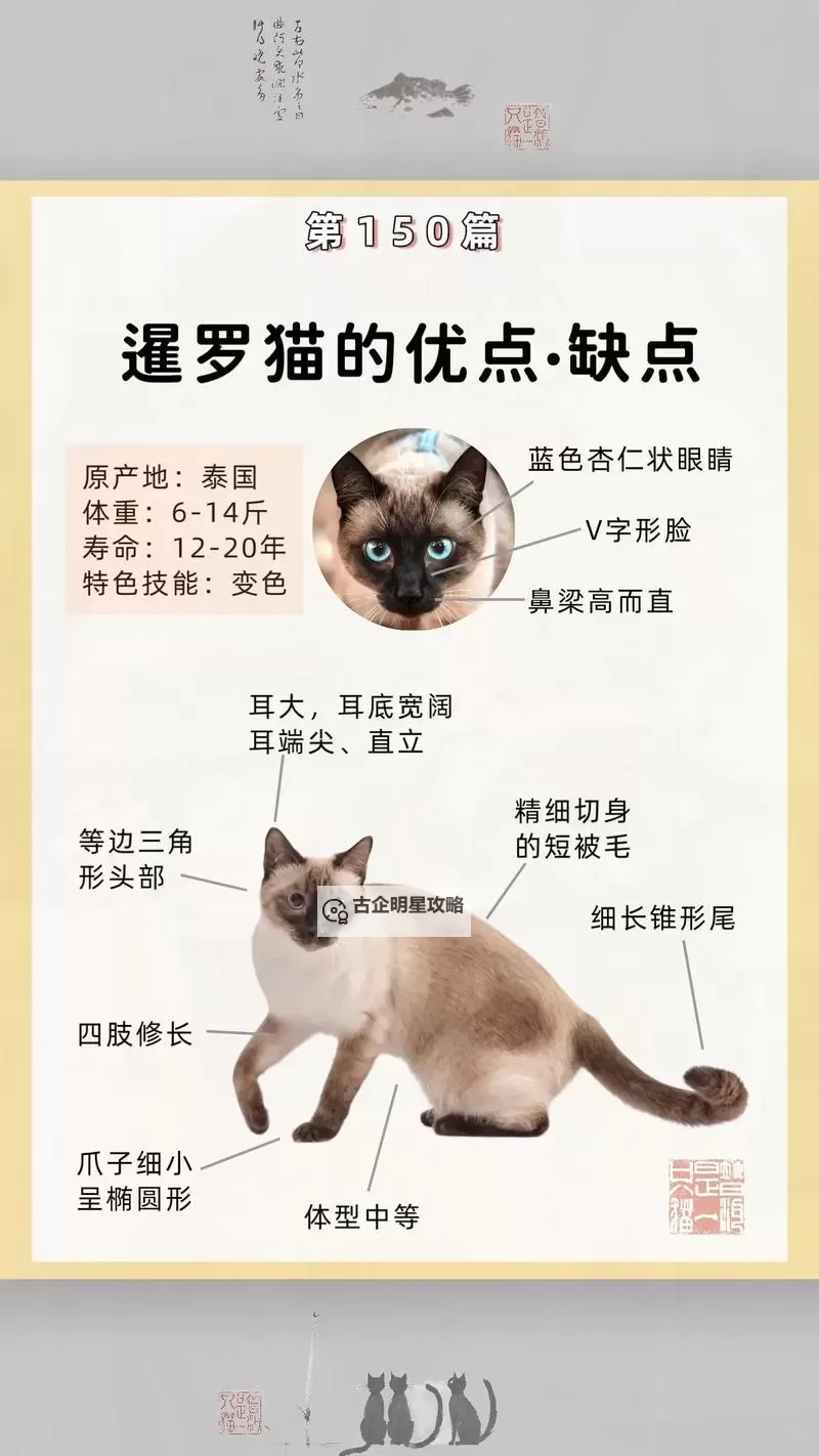 《文明7》暹罗特点介绍 暹罗特性一览图1