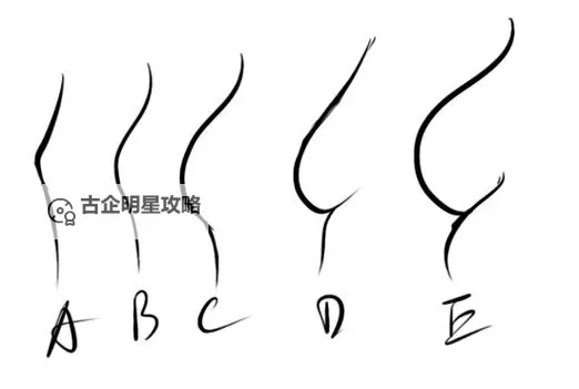 【最佳指南】最好最全的C人教程——详细全面掌握C编程技巧图2