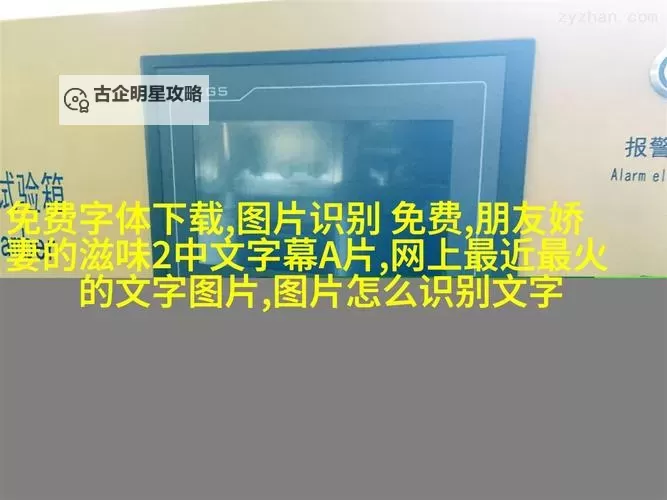 主人我错了能不能关掉开关电视:关于家庭争执的小插曲图1