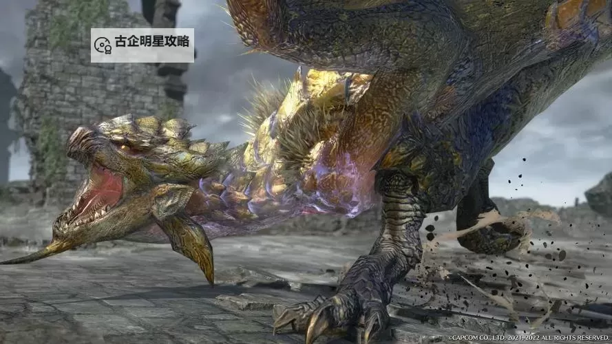 《怪物猎人崛起》金火龙全招式展示 金火龙怎么打图1