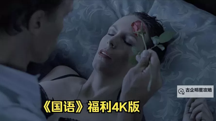 盘点最好看的2018国语在线影视作品推荐图1