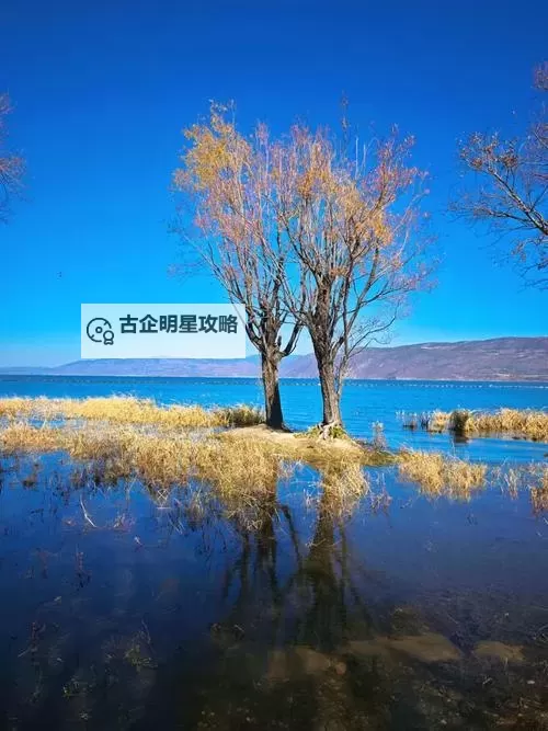 南方公园:真理之杖 迷失之林走法心得图1