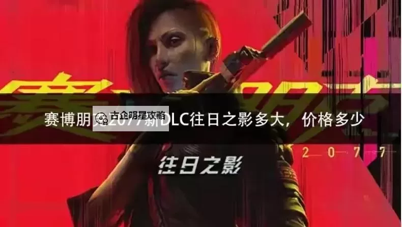 《赛博朋克2077往日之影》时停刀剑流玩法详解图1