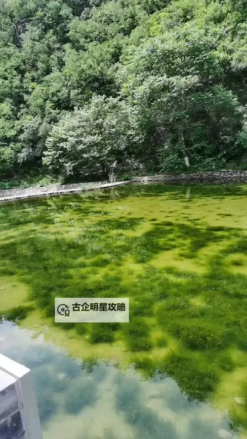 浅仓彩音无码视频:精彩绝伦的视觉盛宴图1