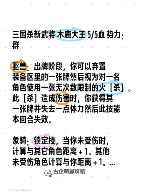 《真三国无双起源》黑鹿毛马获取方法 黑鹿毛马属性与技能一览图1