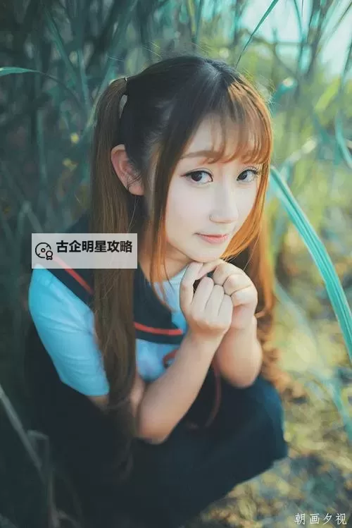 中国一级毛卡高清国语电影推荐 最新在线观看指南图1