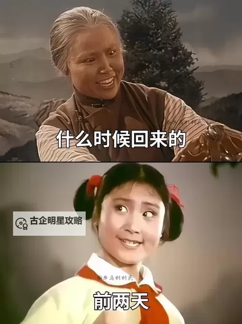 中国BGMBGMBGM老妇与青年交织的多彩人生图1