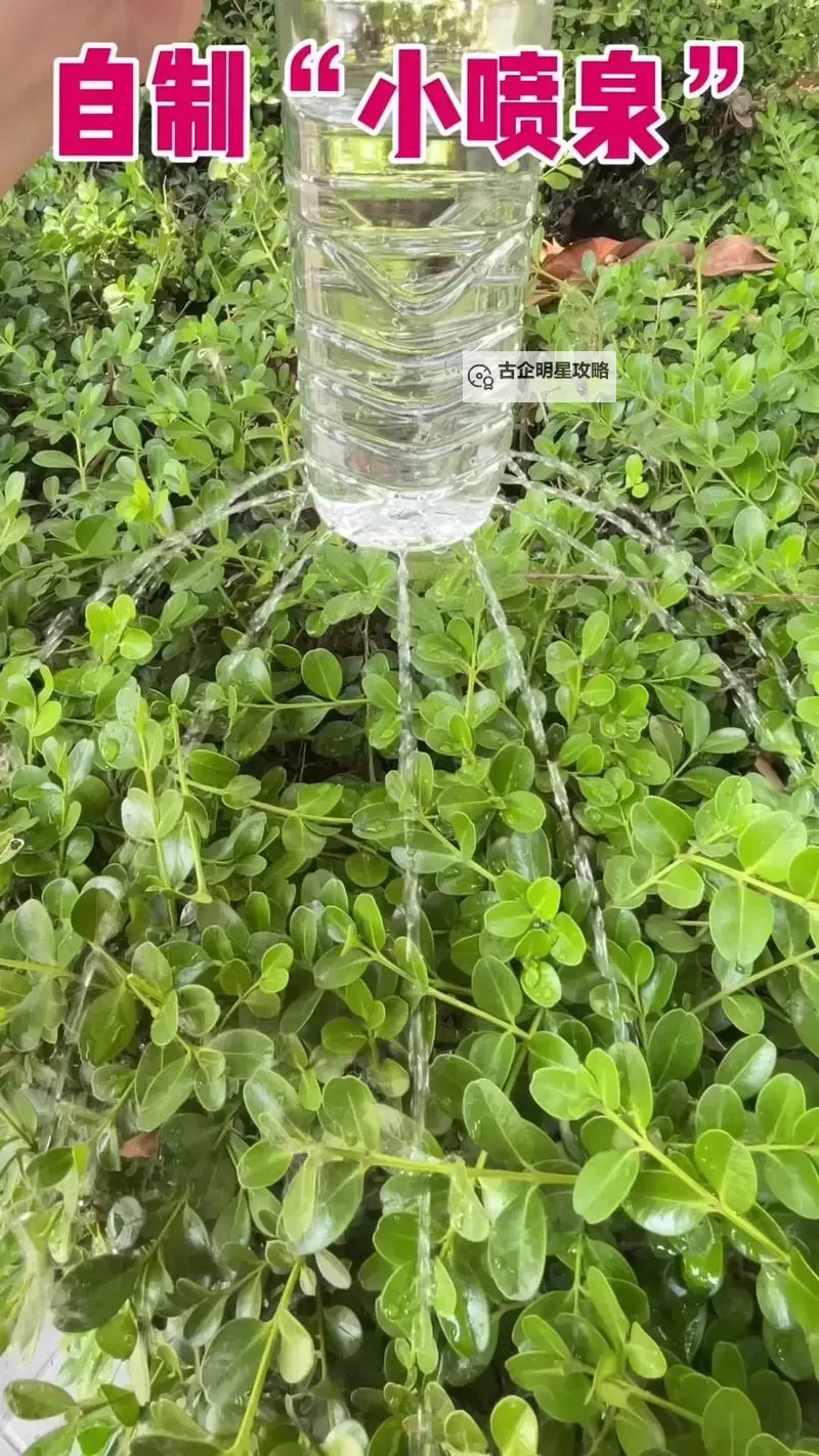 怎样把自己玩成喷泉:打造个性化的流动艺术图1