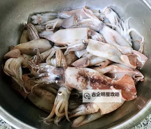 鱿鱼B25777直接进入深海探秘区引发热议图1