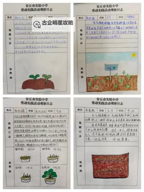 《庄园领主》蔬菜流赚钱心得图1