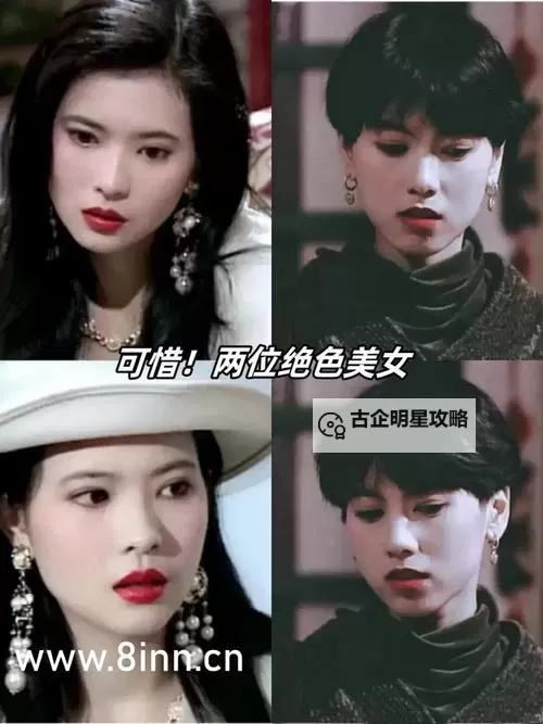 三浦恵理子一区二区三区四区:全面解析与精彩亮点图1