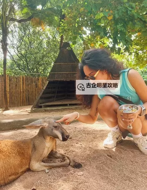 探索最新美国ZOOM动物_欢迎你:线上互动新体验图1