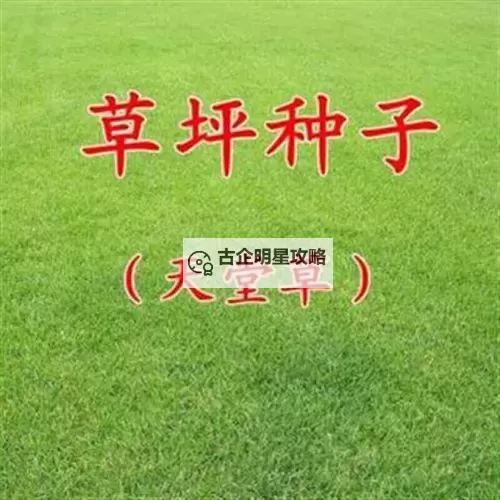 揭秘“在线天堂种子”:如何快速体验虚拟世界的新奇与精彩图1