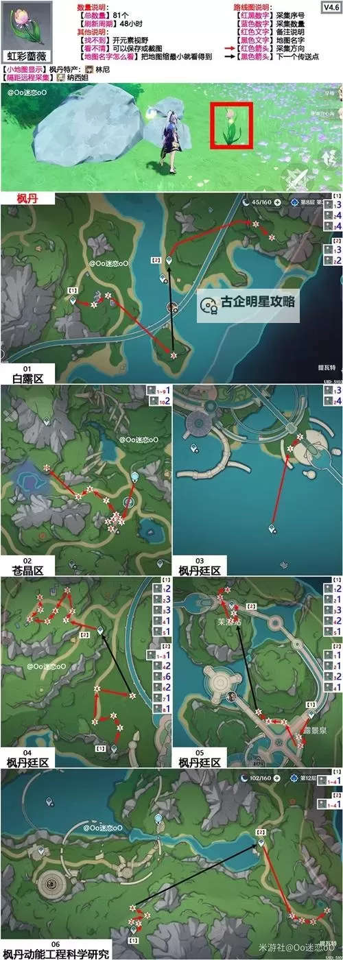 《原神》4.1虹彩蔷薇高效收集路线推荐 海露花采集推荐图1