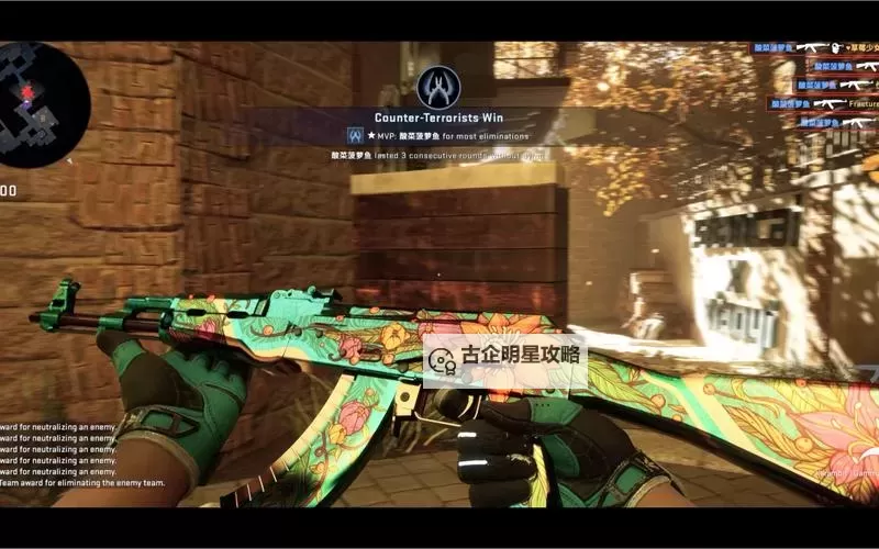 《CSGO2》起源2全刀型原皮展示图1