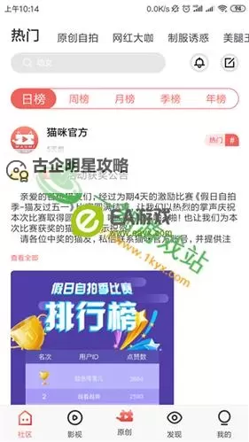 成人网站猫咪：那些你不知道的网上萌宠秘密图1