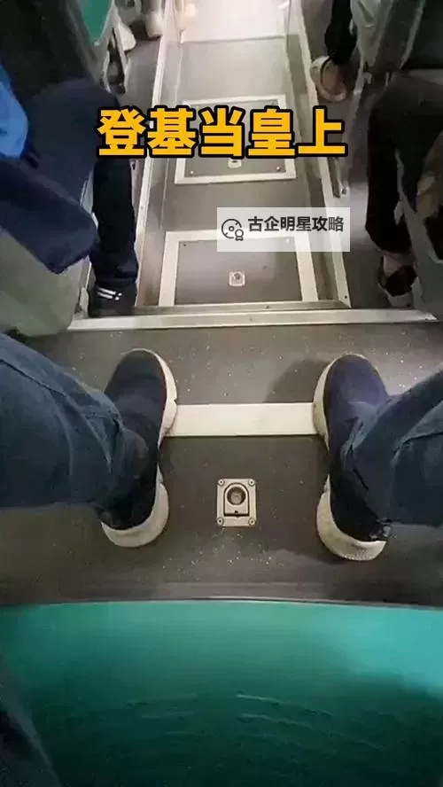 坐公交车最后一排轻一点：那些隐秘的乘车心事图1