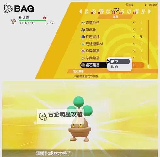 《宝可梦剑盾》快速孵混血蛋方法 怎么孵混血蛋图1