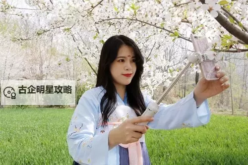 绝美樱花背景下的樱花美女直播视频精彩呈现图1