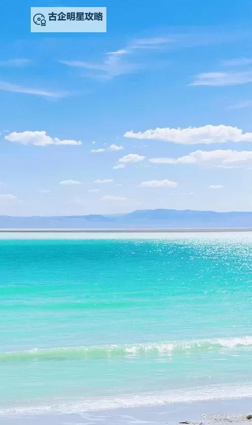 《幻兽帕鲁》各阶段打工帕鲁推荐 前期什么帕鲁打工好用图2