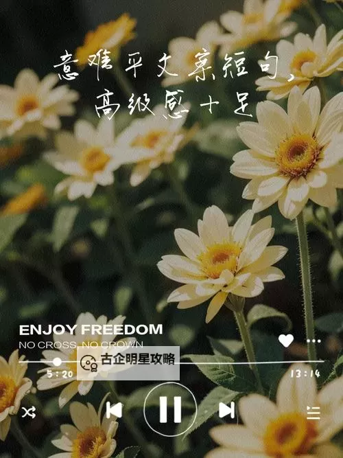 最难留住温柔意：那些无法逆转的瞬间图1