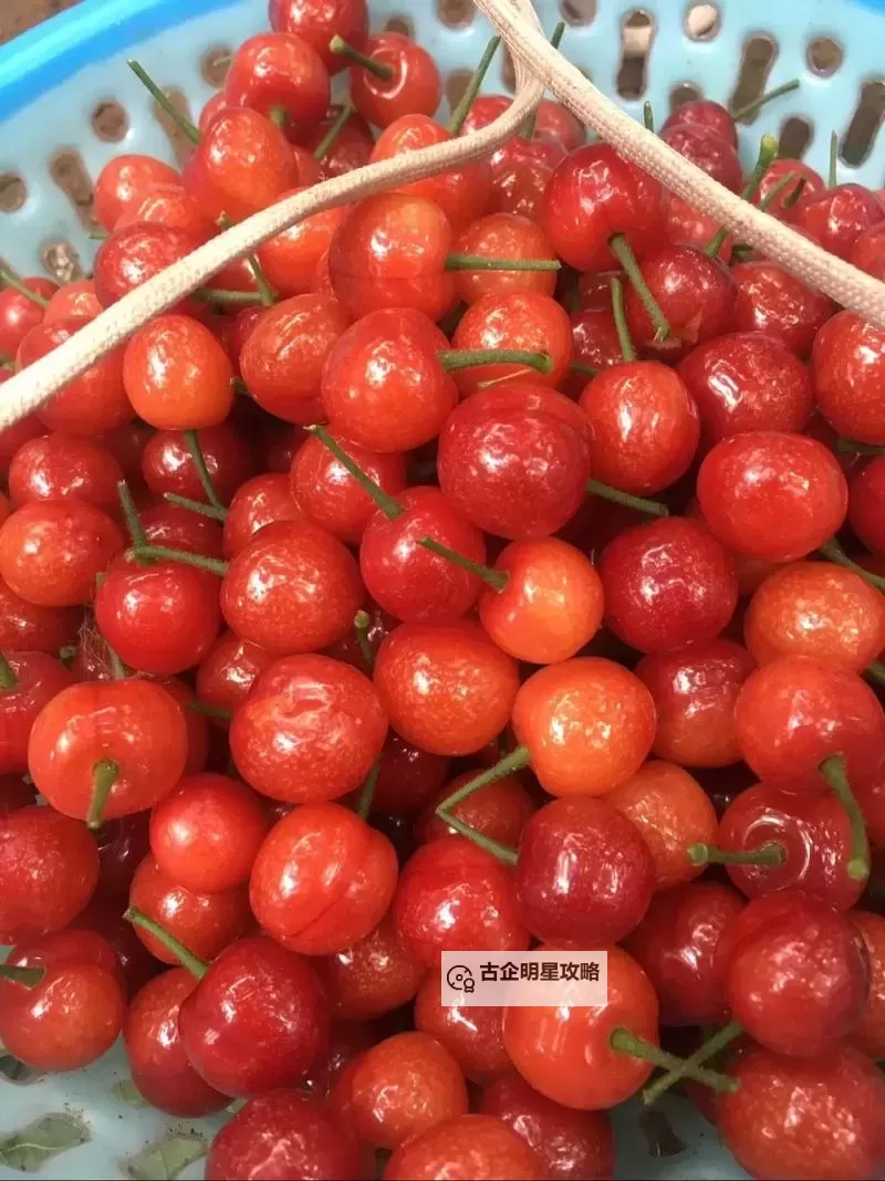 免费在线观看樱桃小视频,享受精彩纷呈的视觉盛宴图1