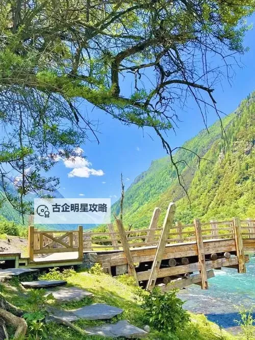 【最新推荐】LUTUBE在线无码观看网站免费看高清资源图1