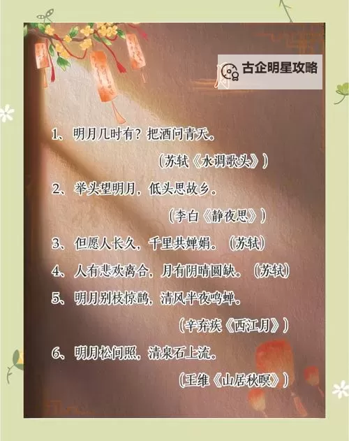 《圆缺(1v1)全文阅读:深度解析与精彩推荐》图1