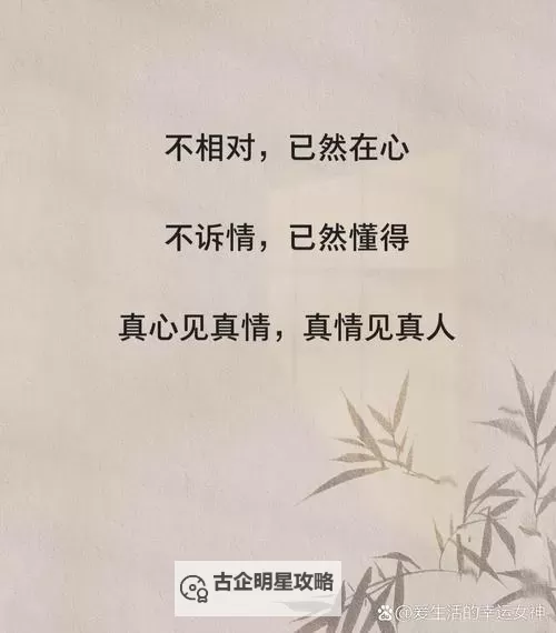 与你生死两相欢：爱在生死之间的坚韧之情图1