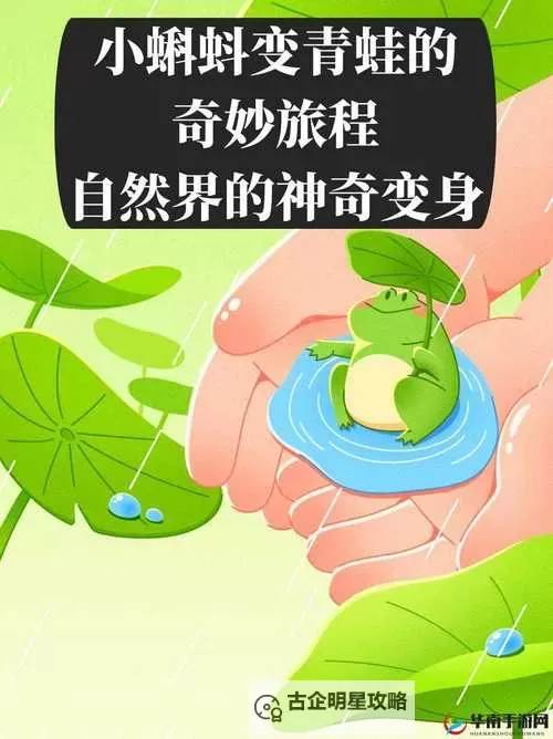 探索奇趣世界:91po九色蝌蚪的神秘之旅图2