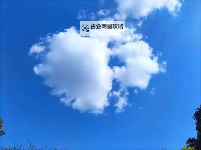 弑魂Online如何双开 2021最新双开神器来袭图1