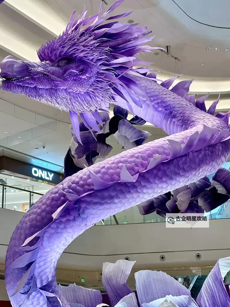 坐在黑的发紫的巨龙上写作业:奇幻冒险中的创意时光图1