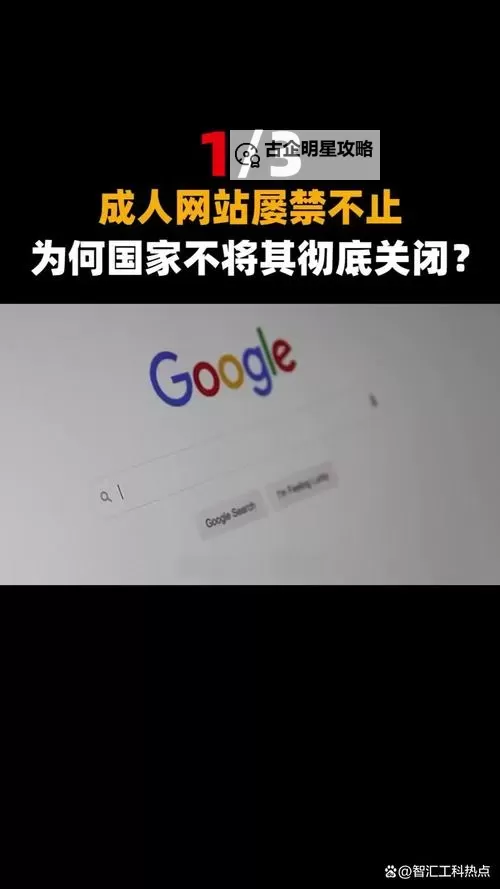 2025年十大禁用黄台软件榜单揭秘图2