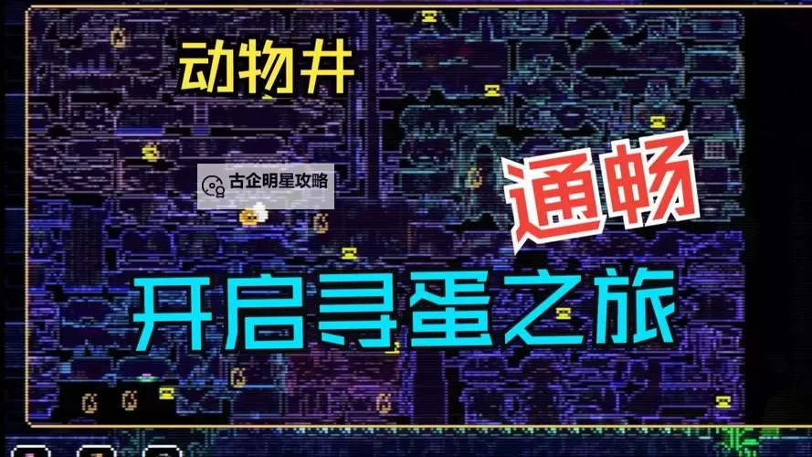 《动物井》全蜡烛位置分享图1