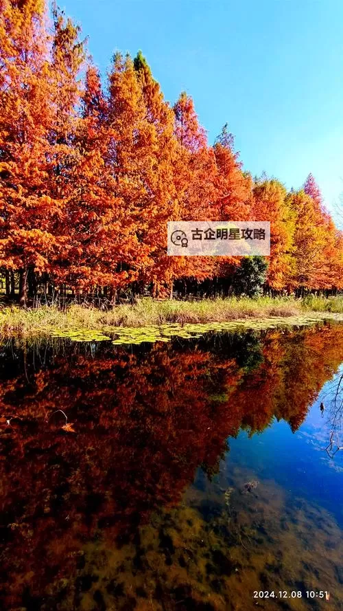 《幻兽帕鲁》前中期实用易抓劳工帕鲁推荐图1