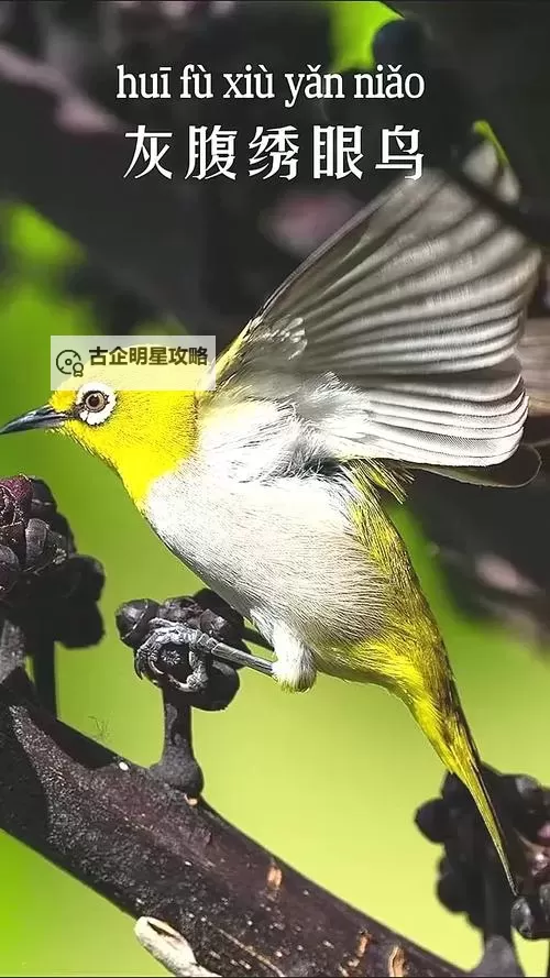 日韩无码视频会议：推动区域合作与内容规范的新突破图1