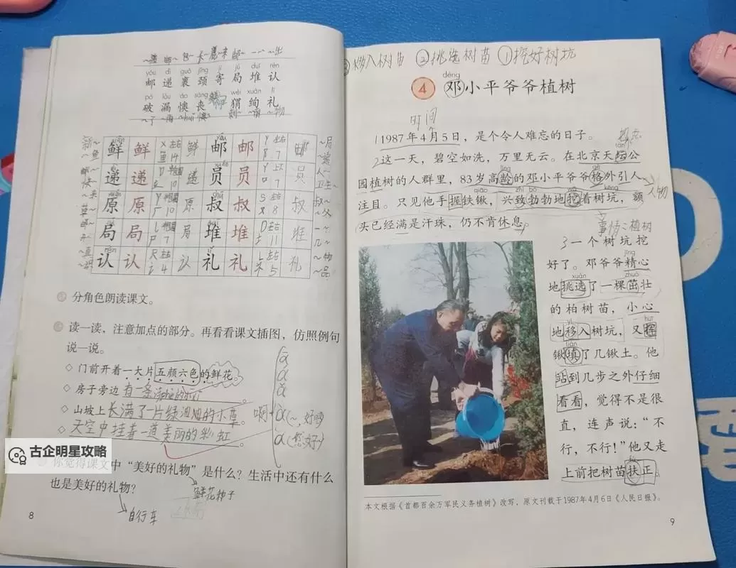 在班里插了语文课代表的趣事与反思图1