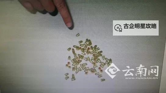 《辐射4》冷冻枪和射钉枪获取教程 射钉枪怎么获得图2