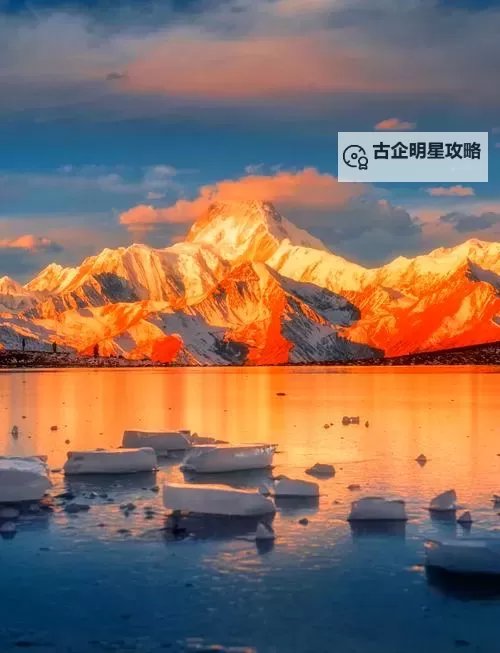 南方公园:真理之杖 迷失之林走法心得图1