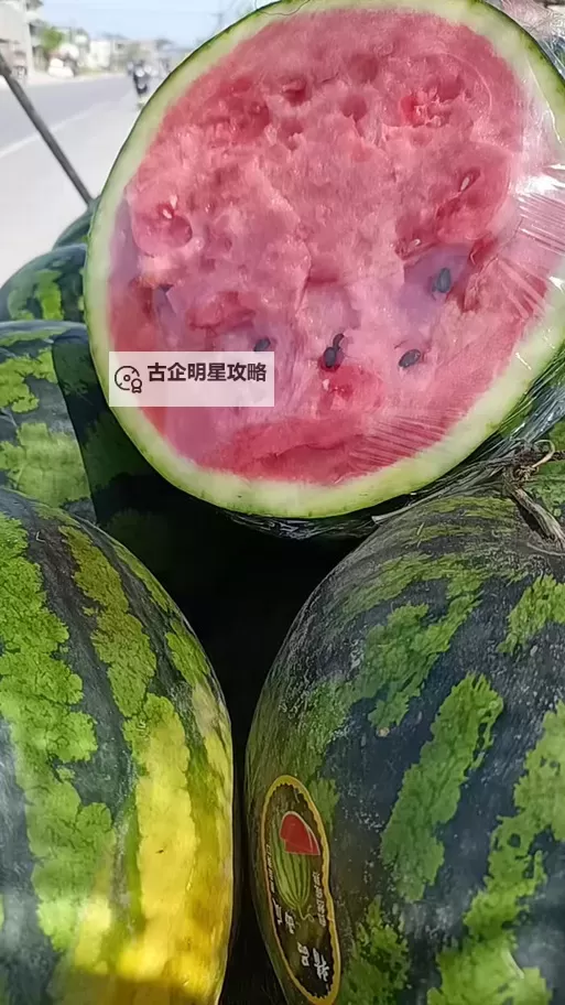 长垣吃瓜视频在线观看:最新热点资讯一网打尽图1