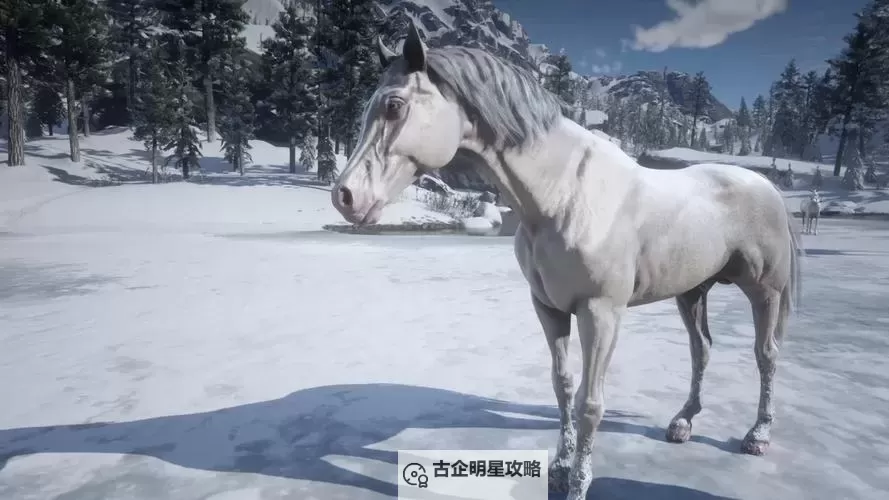 《荒野大镖客OL》马、马鞍与马车选择推荐图1