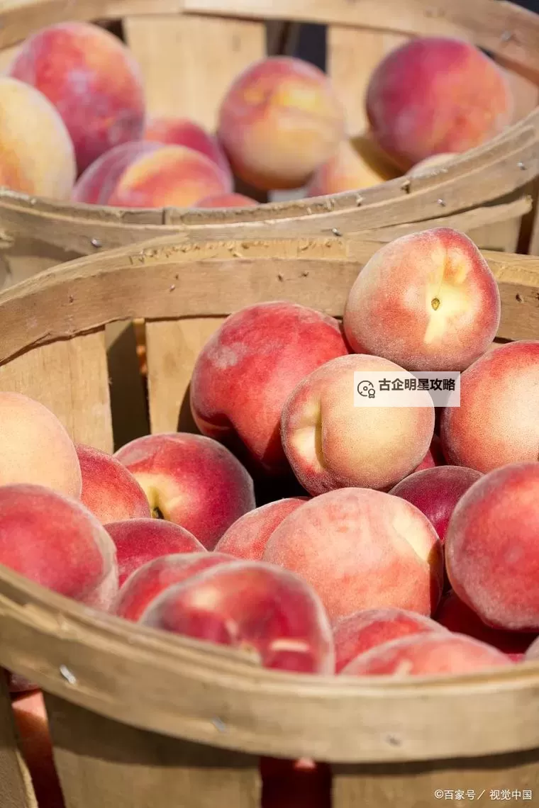 水蜜桃3美国：新鲜果梦的完美体验图1