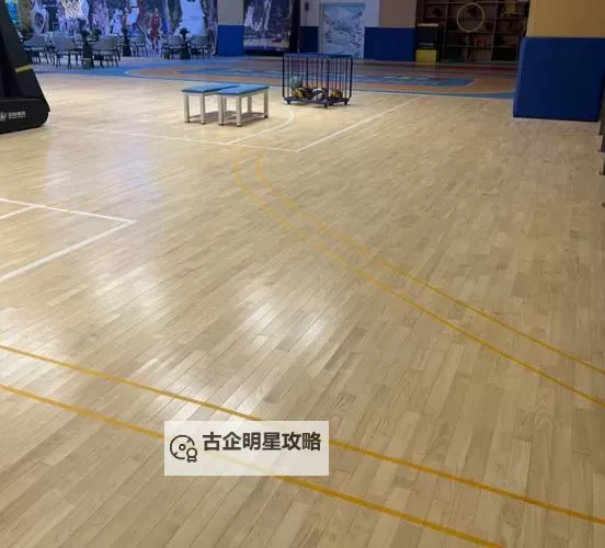 在体育室地板上C:追寻运动梦想的足迹图1