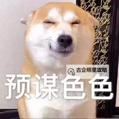 探索无限幻想：畅游我的色色王国图1