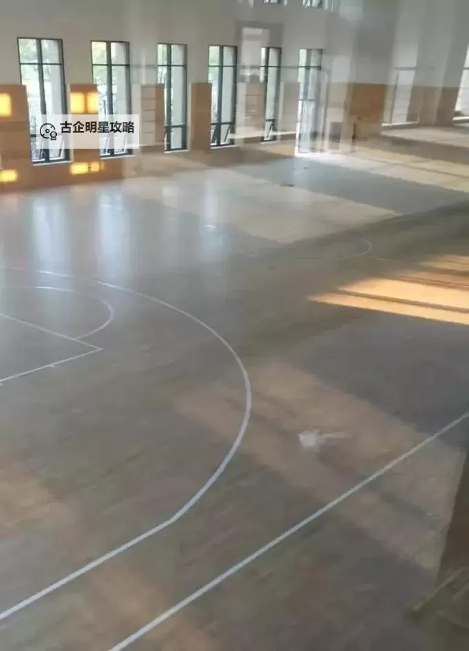 在体育室地板上C：运动中的奇迹与坚持图1