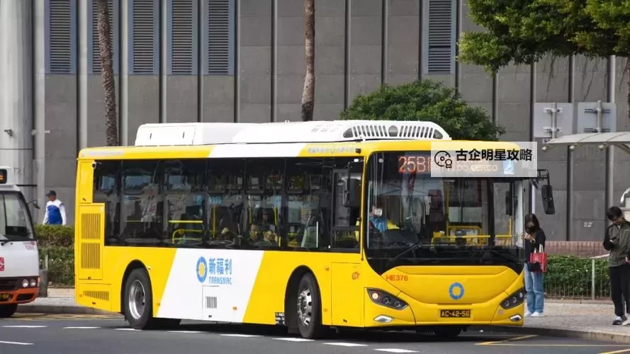 福利巴士成人专题：全方位体验与精彩内容揭秘图1